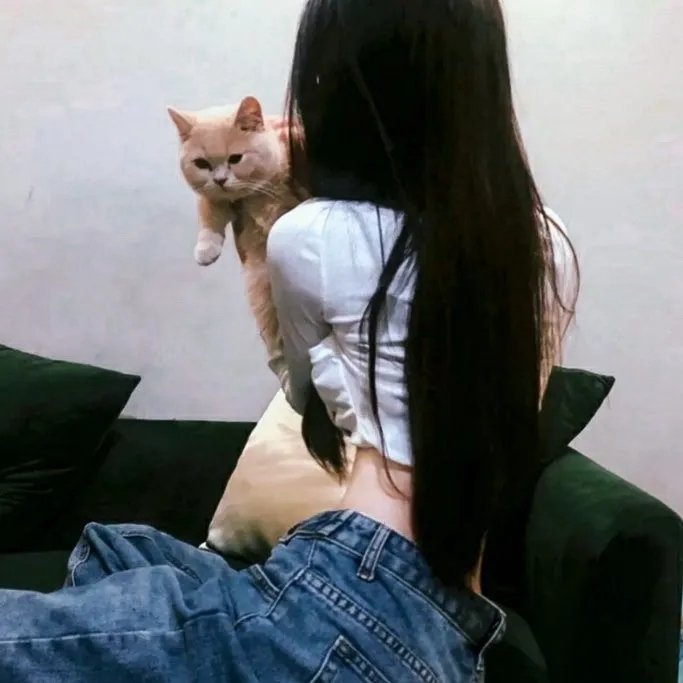 爱找麻烦封面